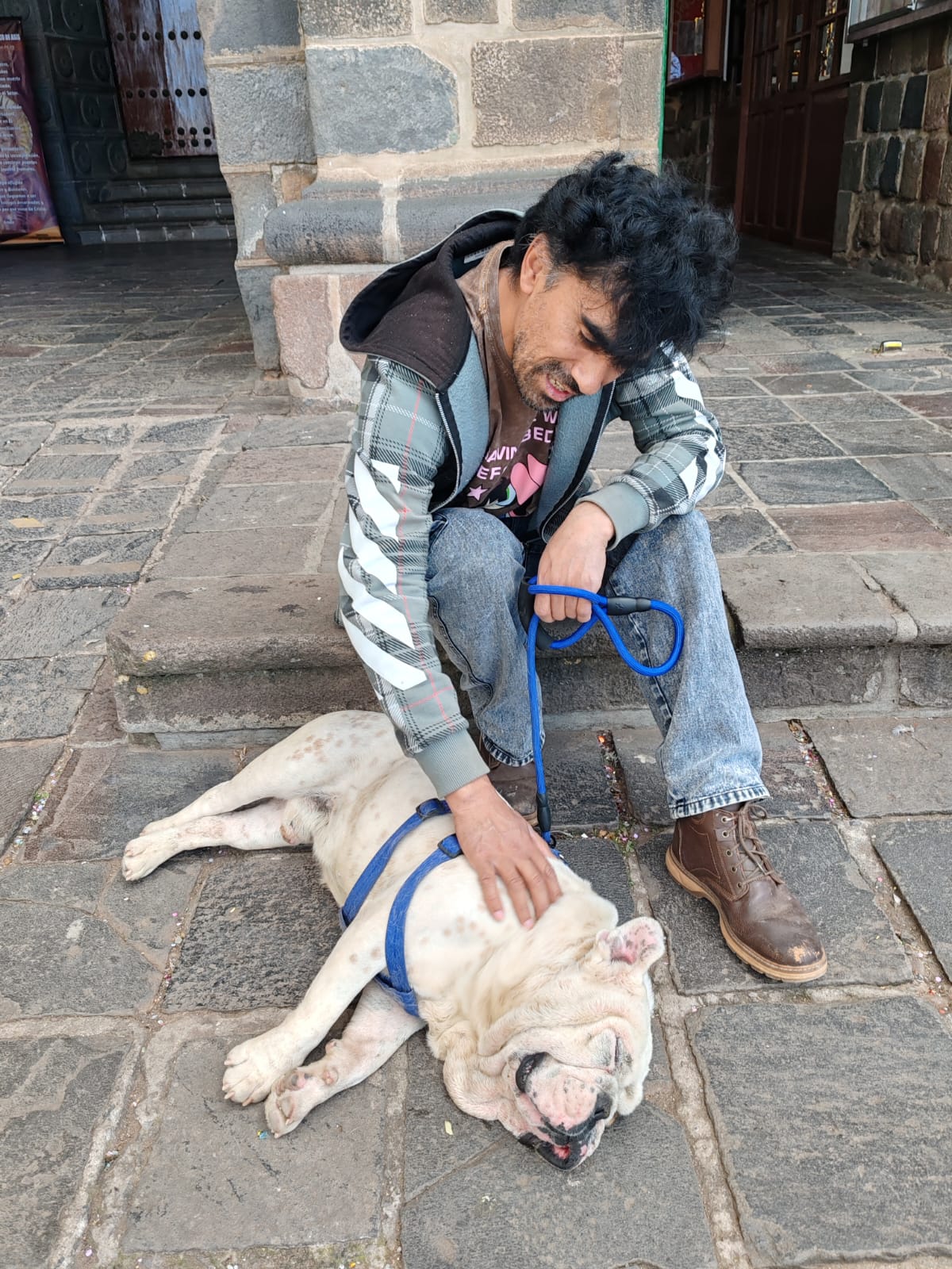 Perrito rescatado 3