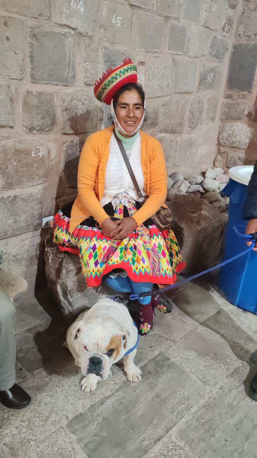 Perrito rescatado 9