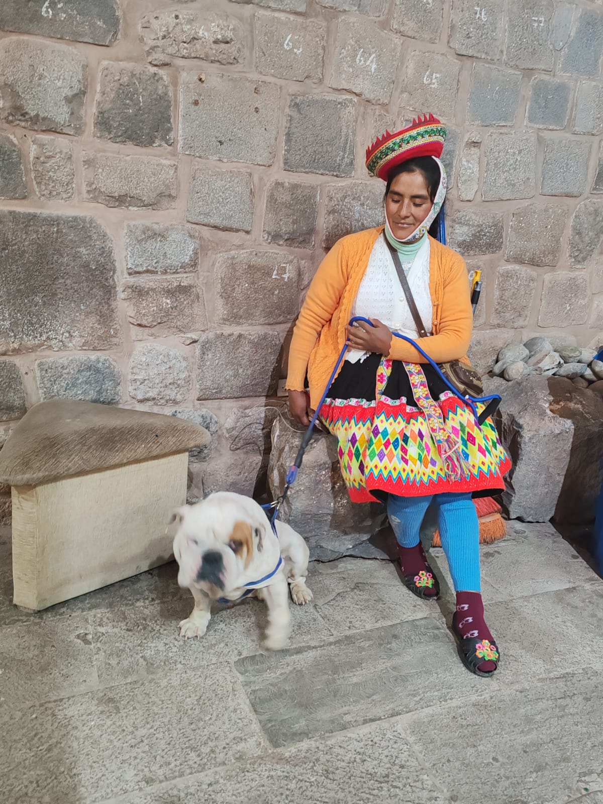 Perrito rescatado 8