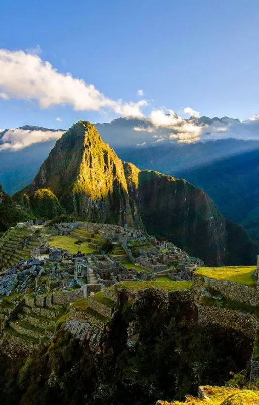 Mapi